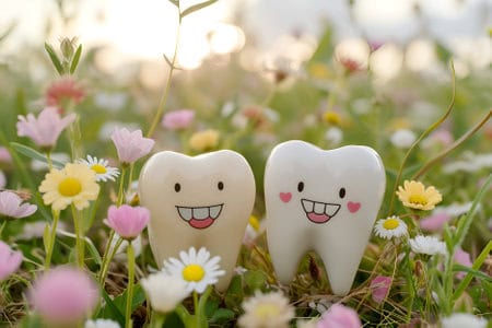 222865507-two-laughing-3d-tooth-models-among-spring-flowers-joyful-cartoon-teeth-enjoying-a-springtime-bloom